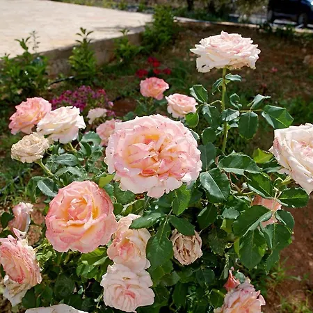 Messinian Seaview Retreat Apartman