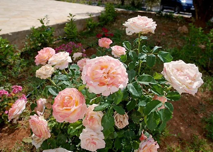 Messinian Seaview Retreat Lejlighed